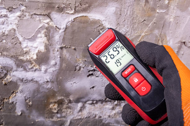 Best Commercial Mold Removal  in Collinsville, MS