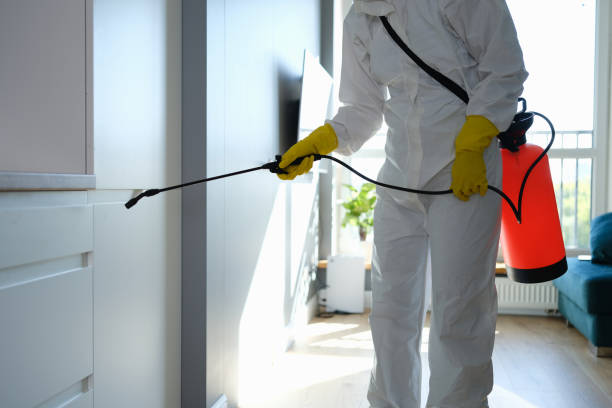 Best Professional Mold Removal  in Collinsville, MS