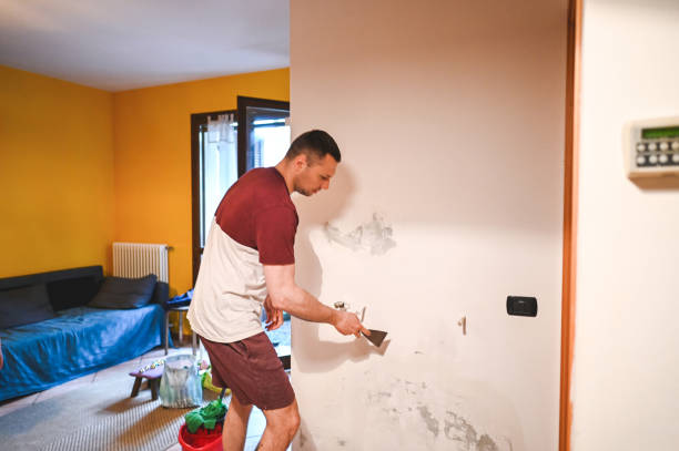 Best Local Mold Removal Service  in Collinsville, MS